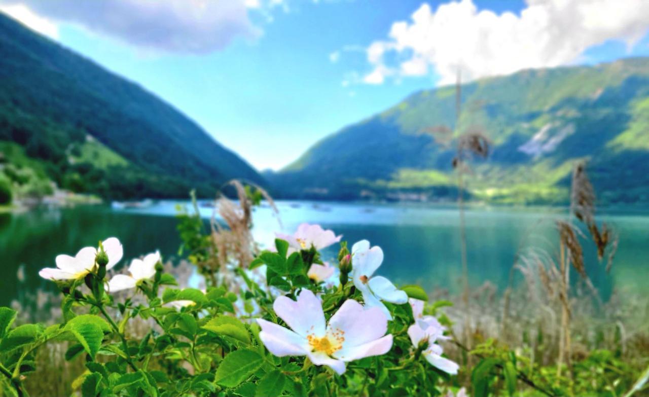 Emozioni Al Lago Farra d'Alpago Exteriör bild